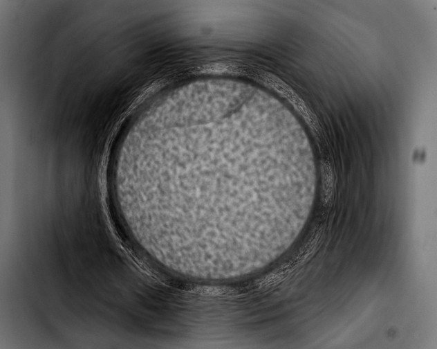 X0000103320482200810171405