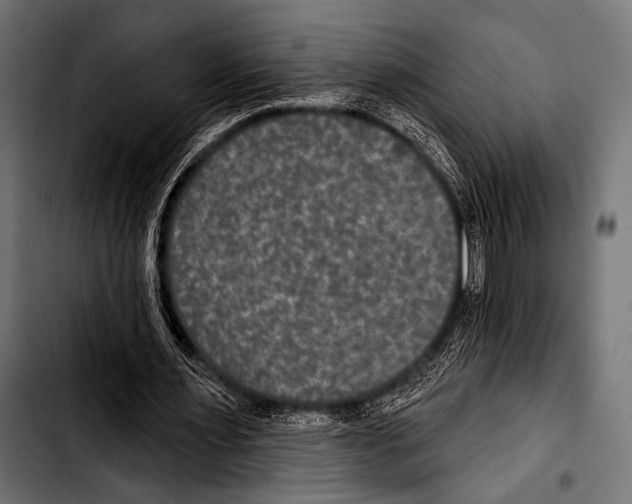 X0000103320483200810171405