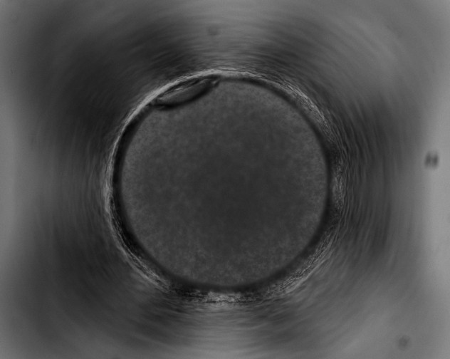 X0000103320484200810171405