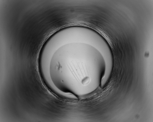 X0000103320485200810171405