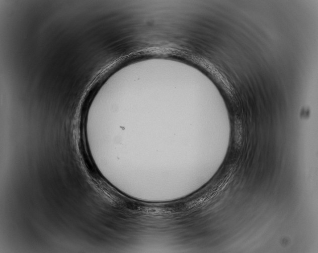 X0000103320486200810171405