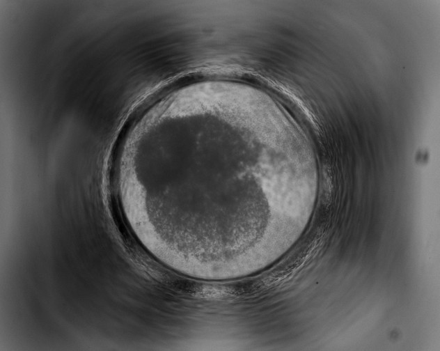 X0000103320487200810171405
