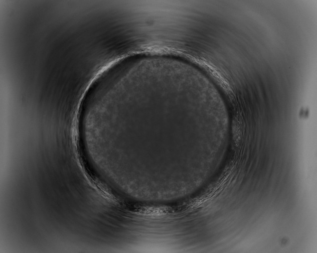 X0000103320488200810171405