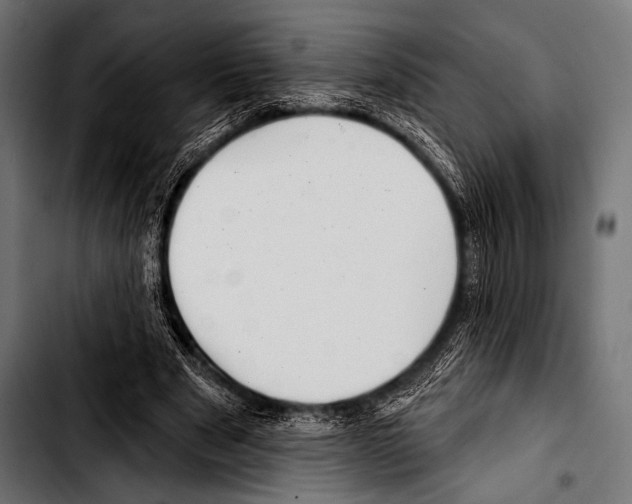 X0000103320489200810171405