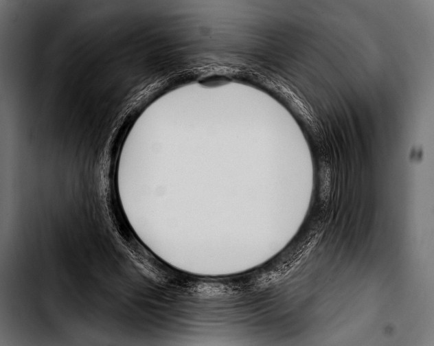 X0000103320490200810171405