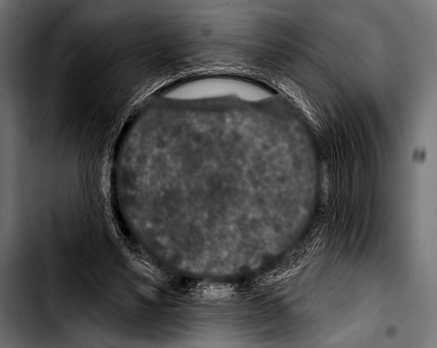 X0000103320491200810171405