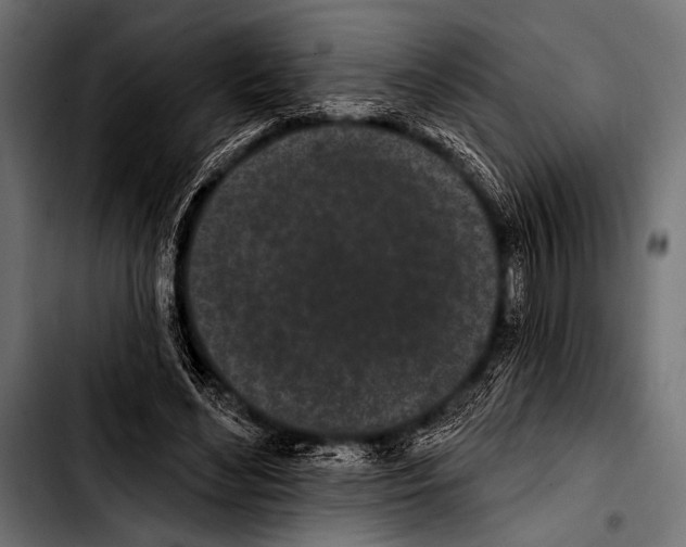 X0000103320492200810171405