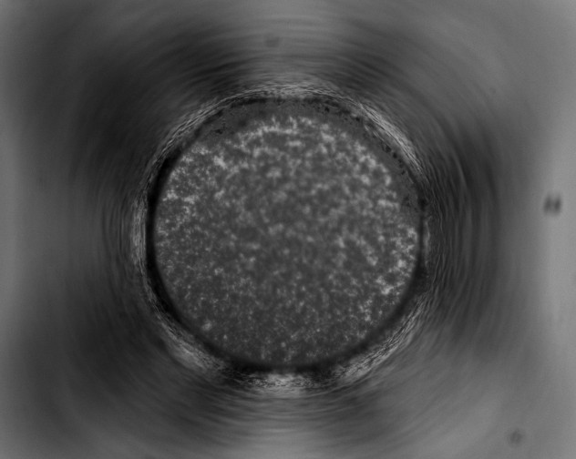 X0000103320493200810171405