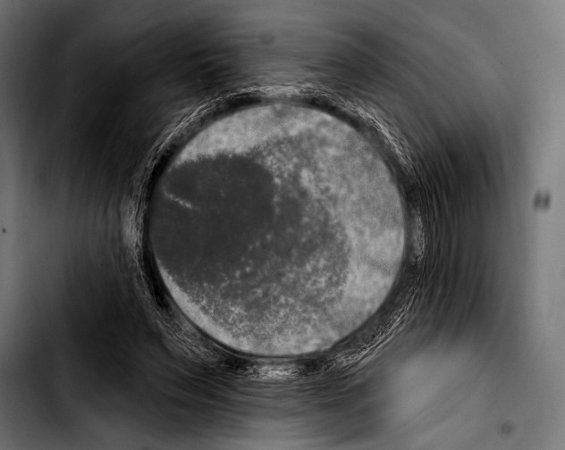 X0000103320495200810171405