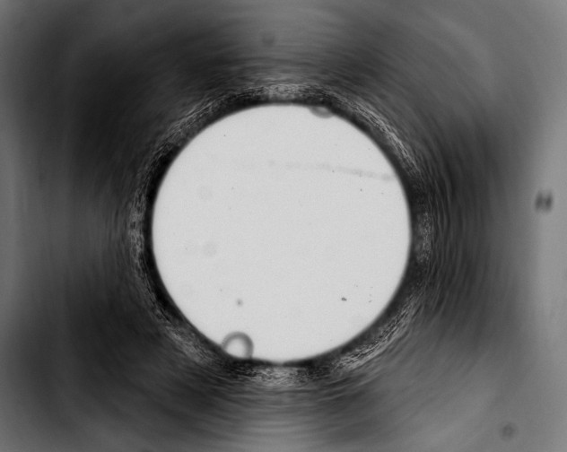 X0000103320497200810171404