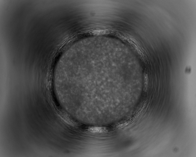 X0000103320499200810171404