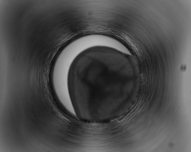 X0000103320500200810171404