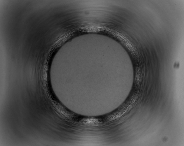 X0000103320501200810171404