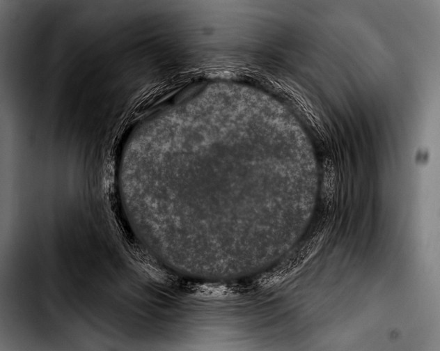 X0000103320502200810171404