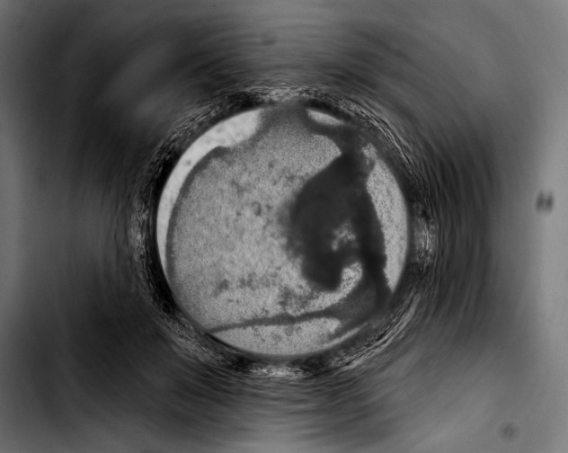 X0000103320503200810171404