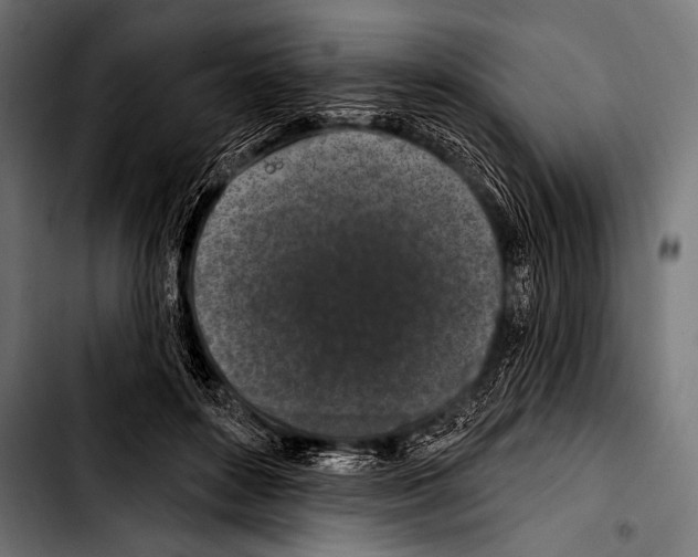 X0000103320504200810171404
