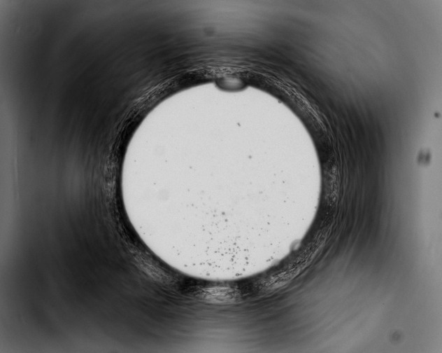 X0000103320505200810171404