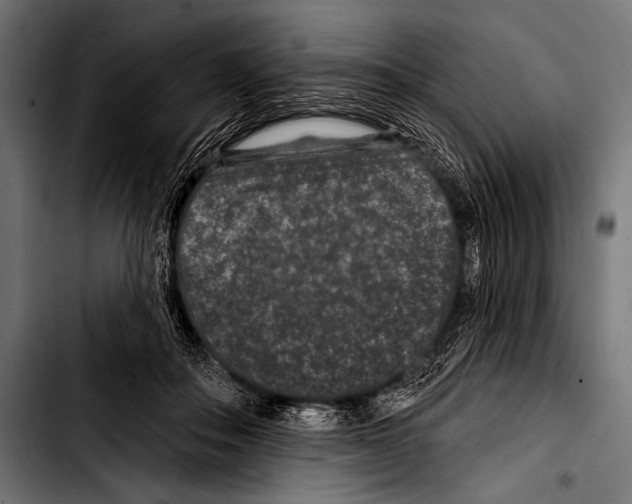 X0000103320506200810171404