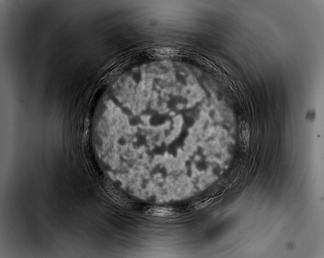 X0000103320507200810171404