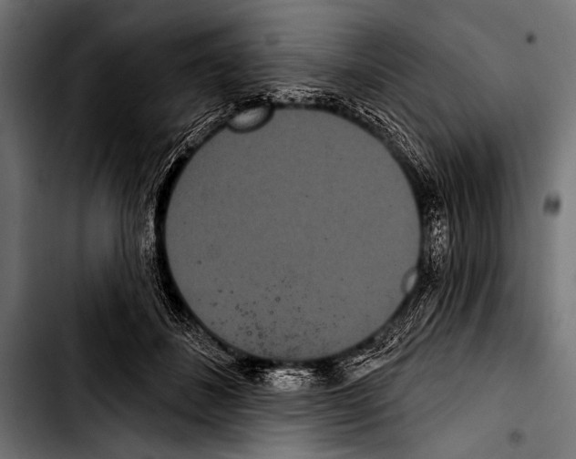 X0000103320508200810171404
