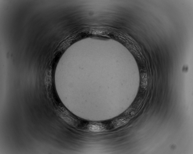 X0000103320510200810171404