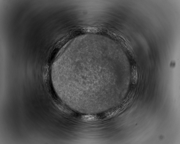 X0000103320511200810171404