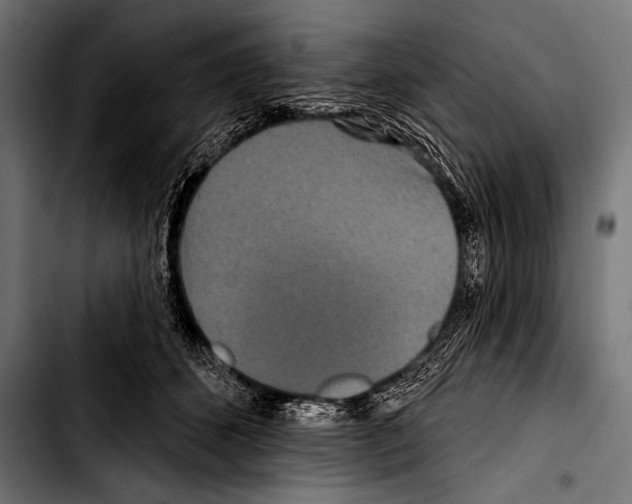 X0000103320512200810171404