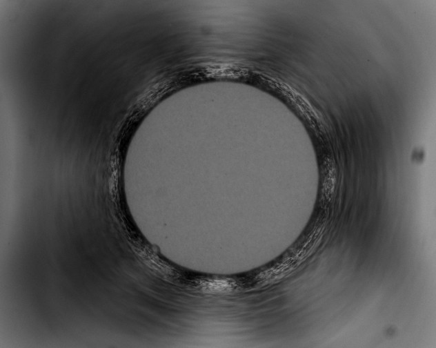 X0000103320513200810171404