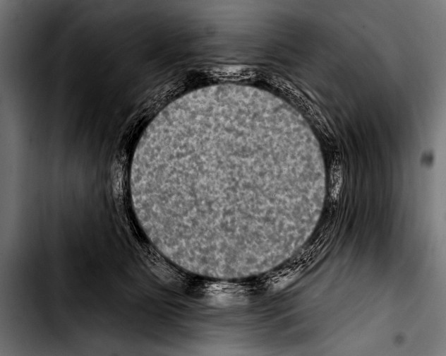 X0000103320515200810171404