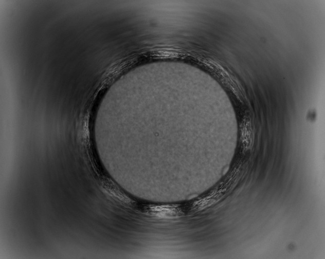 X0000103320516200810171404
