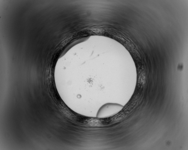 X0000103320518200810171404