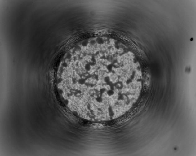 X0000103320519200810171404