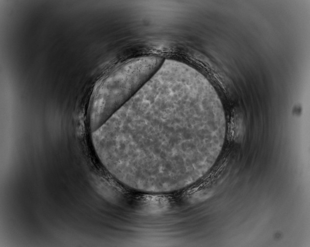 X0000103320520200810171404