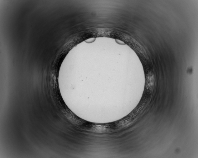 X0000103320522200810171404