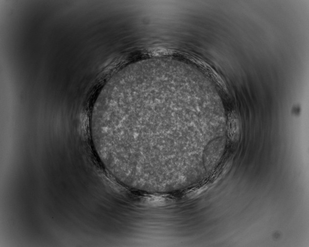 X0000103320523200810171404