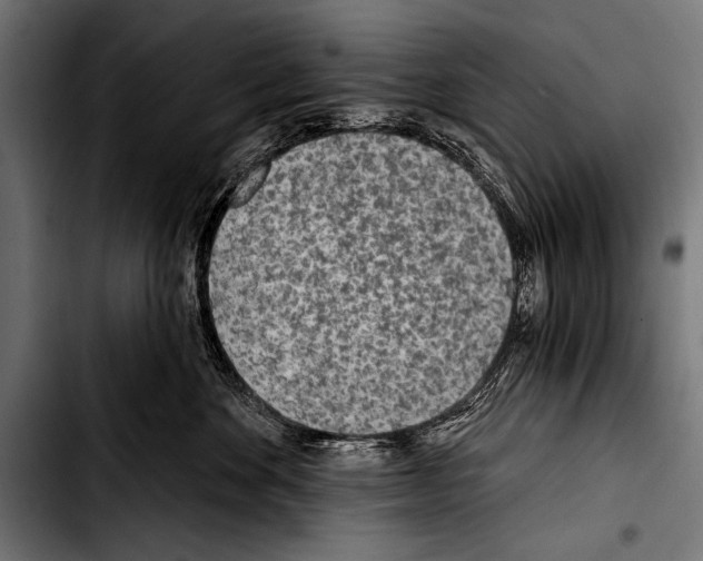 X0000103320524200810171404