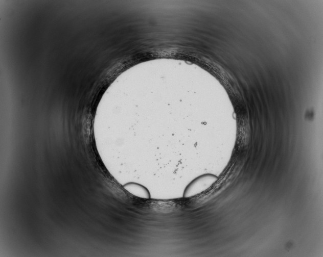 X0000103320525200810171404