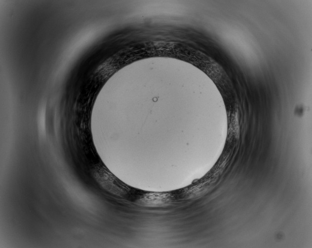 X0000103320526200810171404