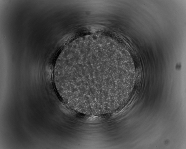 X0000103320527200810171404