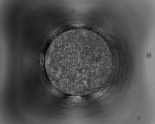 X0000103320528200810171404