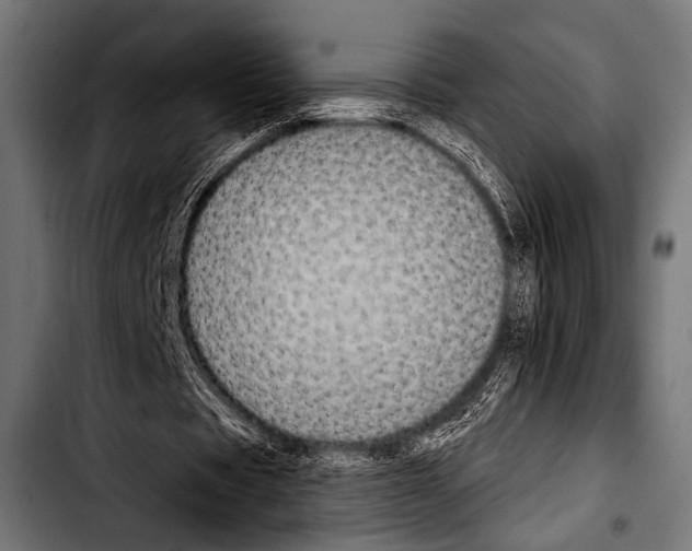X0000103320529200810171403