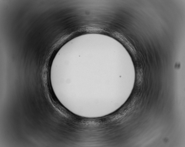 X0000103320533200810171403