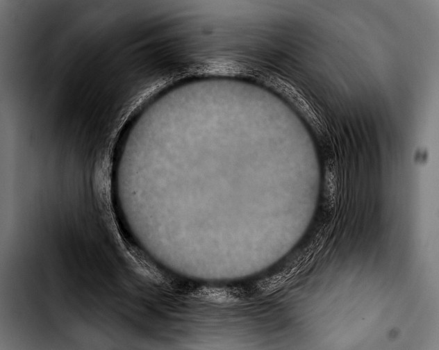 X0000103320534200810171403