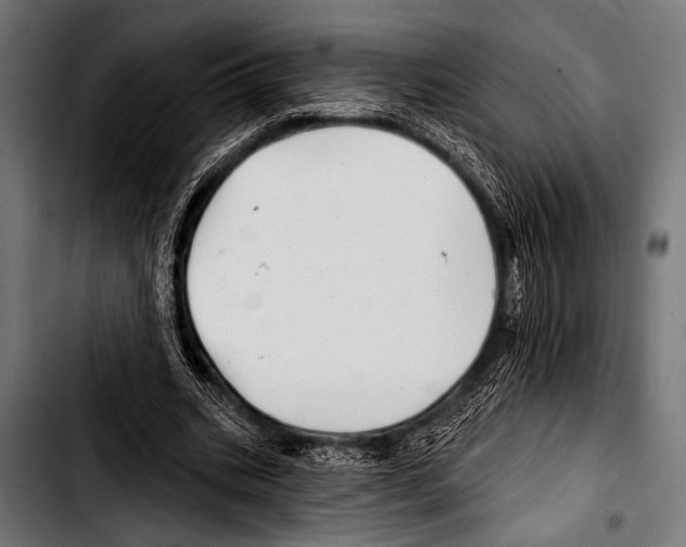X0000103320535200810171403