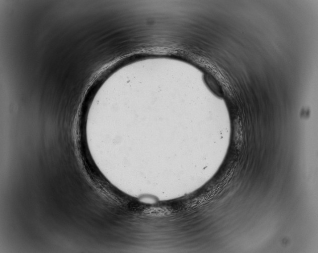 X0000103320536200810171403