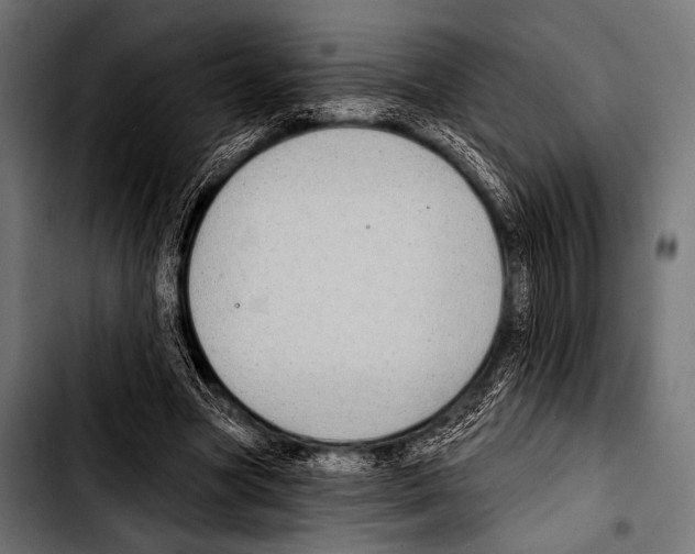 X0000103320537200810171403