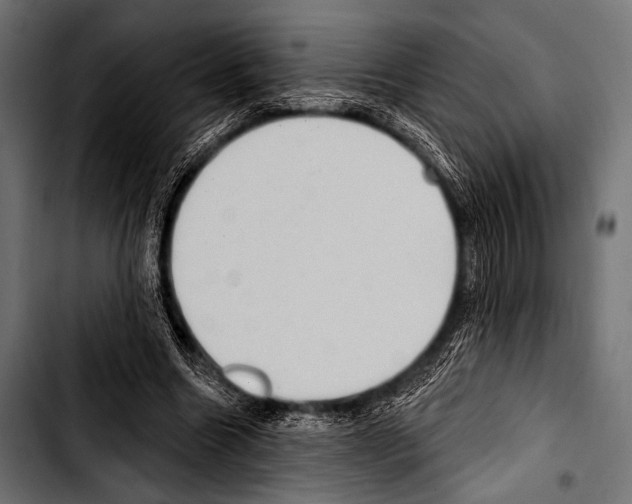 X0000103320538200810171403