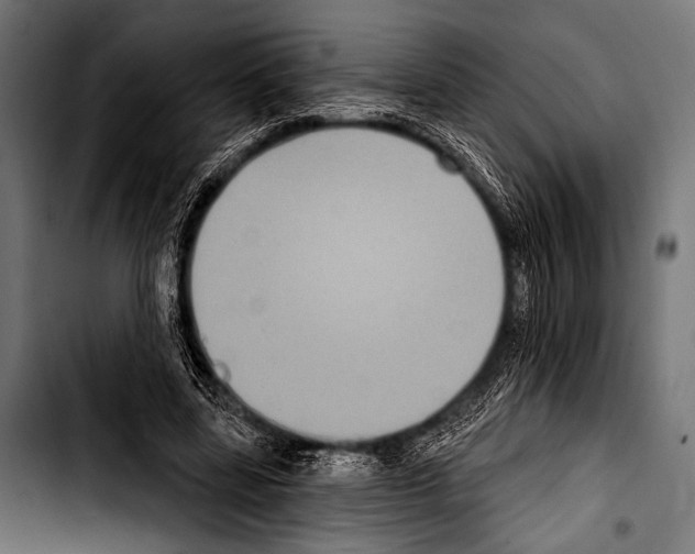 X0000103320539200810171403