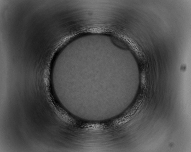 X0000103320540200810171403