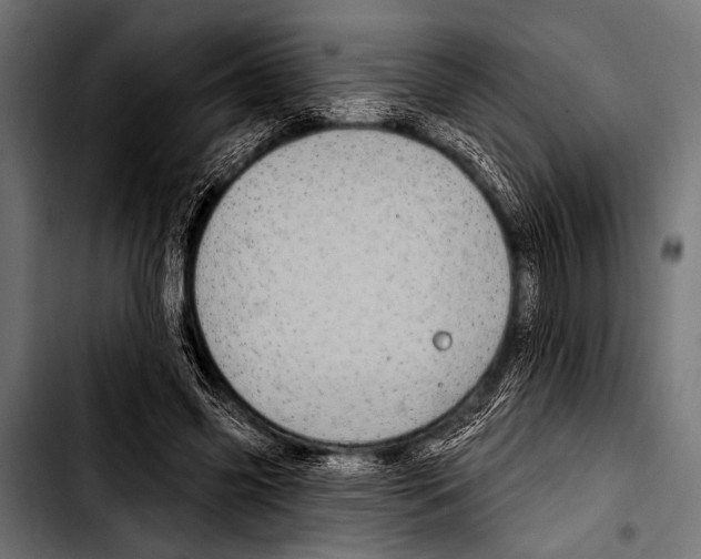 X0000103320541200810171403